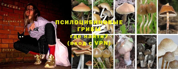 герыч Горнозаводск
